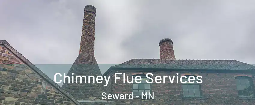 Chimney Flue Services Seward - MN