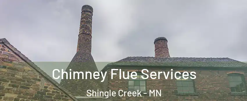 Chimney Flue Services Shingle Creek - MN