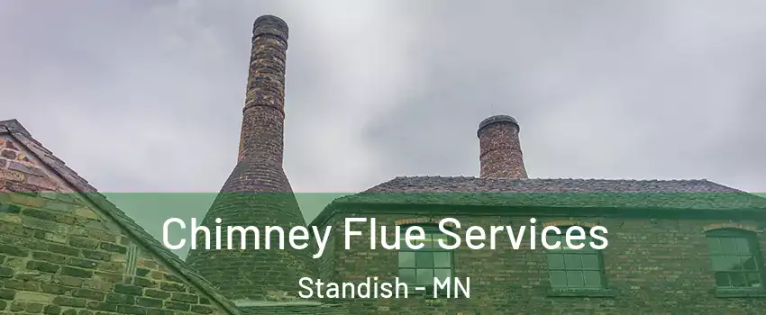 Chimney Flue Services Standish - MN