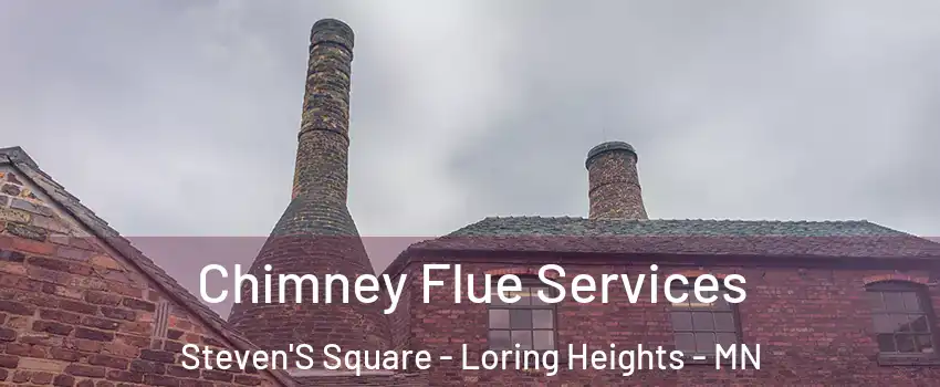 Chimney Flue Services Steven'S Square - Loring Heights - MN