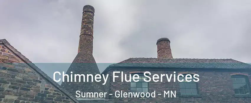 Chimney Flue Services Sumner - Glenwood - MN