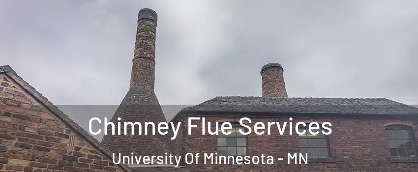 Chimney Flue Services University Of Minnesota - MN
