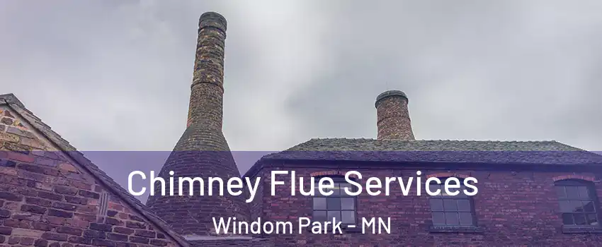 Chimney Flue Services Windom Park - MN