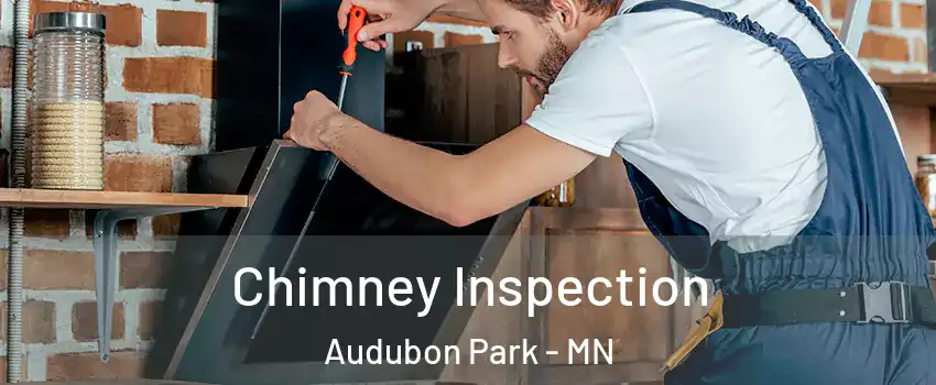 Chimney Inspection Audubon Park - MN