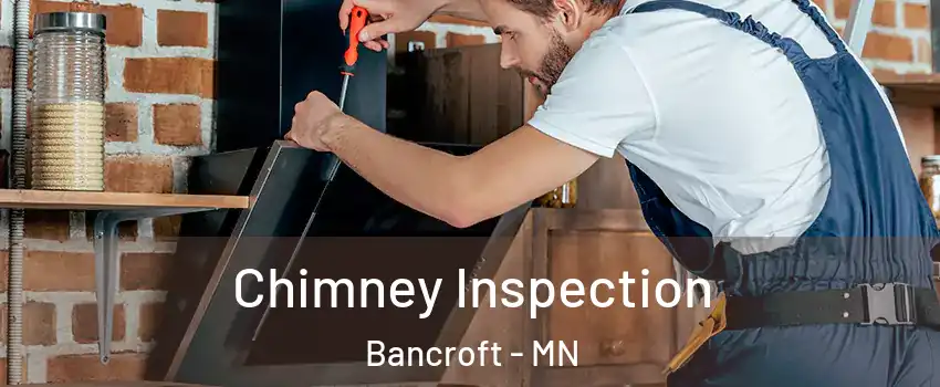 Chimney Inspection Bancroft - MN