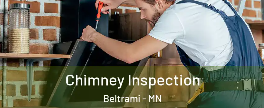 Chimney Inspection Beltrami - MN