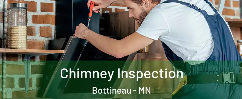 Chimney Inspection Bottineau - MN