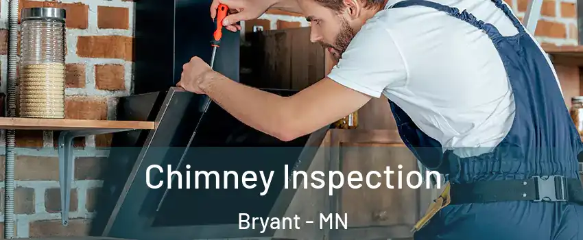 Chimney Inspection Bryant - MN