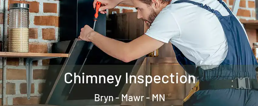 Chimney Inspection Bryn - Mawr - MN