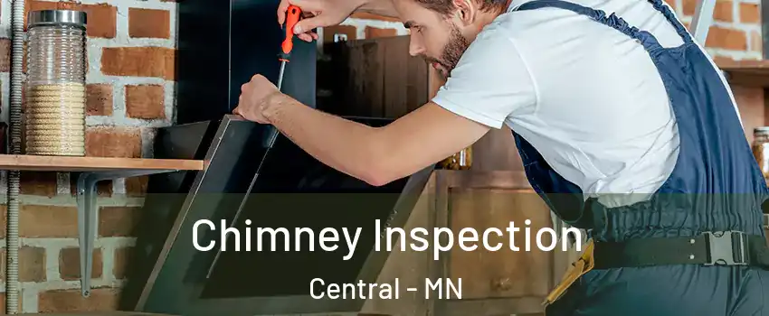 Chimney Inspection Central - MN