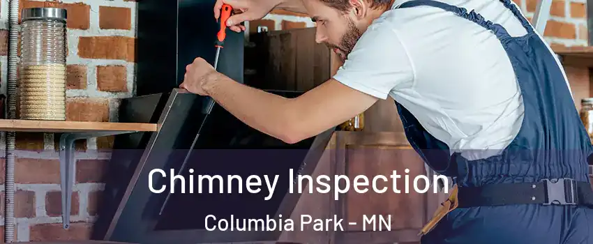 Chimney Inspection Columbia Park - MN
