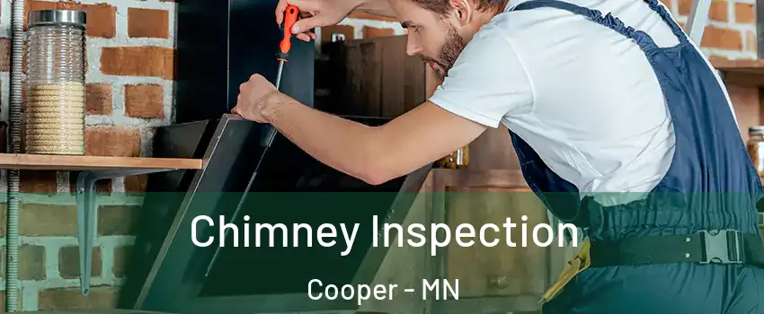 Chimney Inspection Cooper - MN