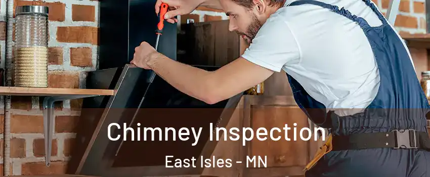 Chimney Inspection East Isles - MN
