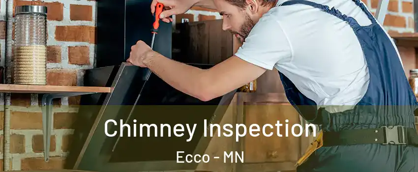 Chimney Inspection Ecco - MN