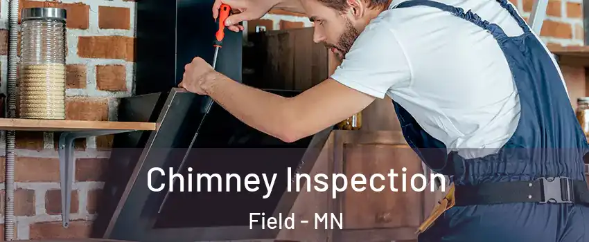 Chimney Inspection Field - MN