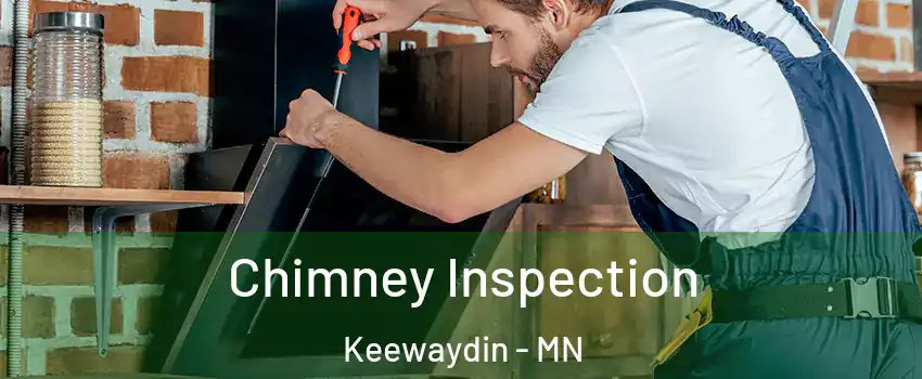 Chimney Inspection Keewaydin - MN