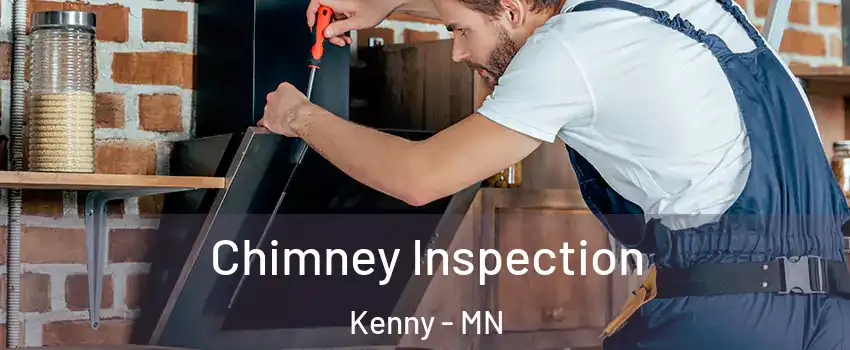 Chimney Inspection Kenny - MN