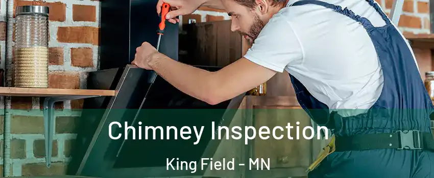 Chimney Inspection King Field - MN