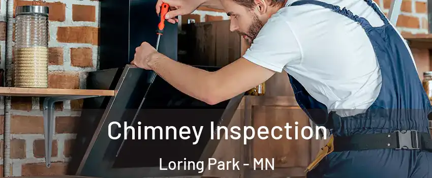 Chimney Inspection Loring Park - MN