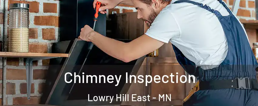 Chimney Inspection Lowry Hill East - MN