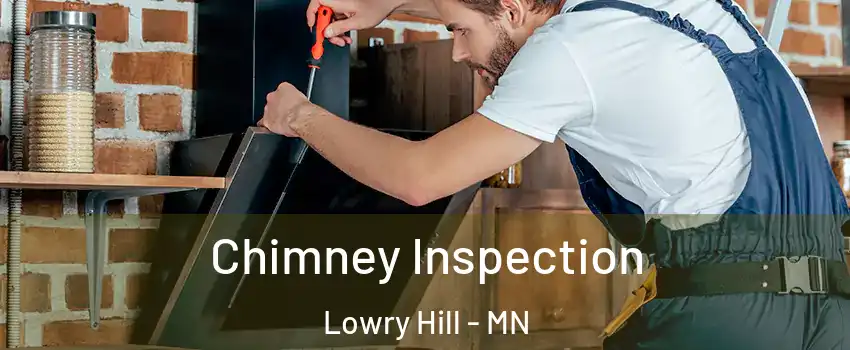 Chimney Inspection Lowry Hill - MN