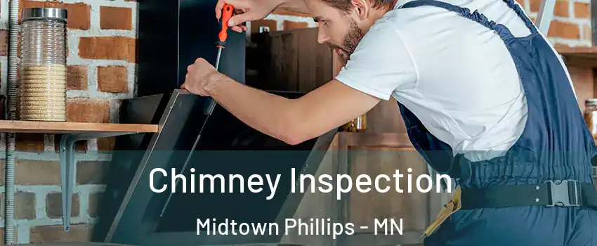 Chimney Inspection Midtown Phillips - MN
