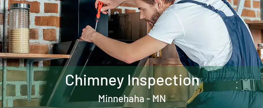 Chimney Inspection Minnehaha - MN