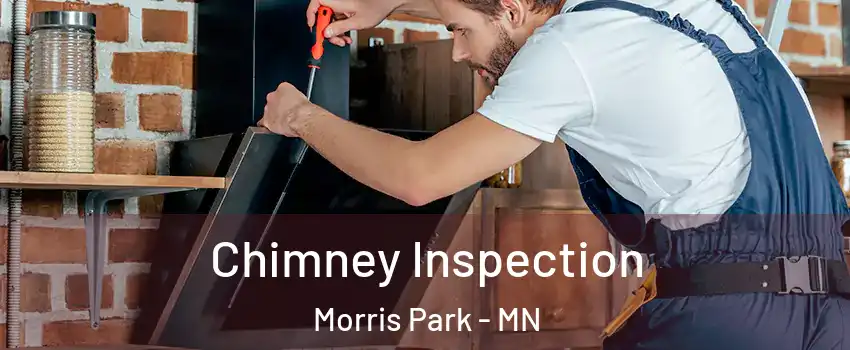 Chimney Inspection Morris Park - MN