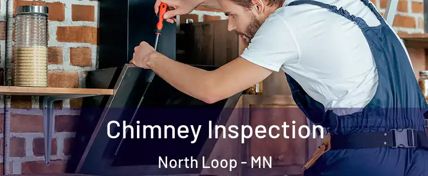 Chimney Inspection North Loop - MN