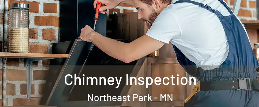 Chimney Inspection Northeast Park - MN