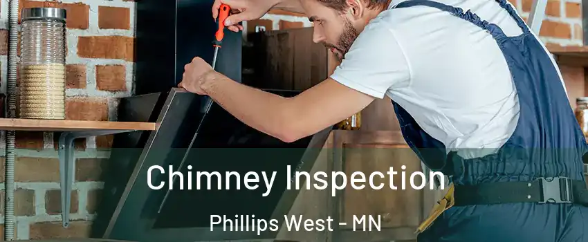 Chimney Inspection Phillips West - MN