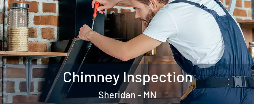 Chimney Inspection Sheridan - MN