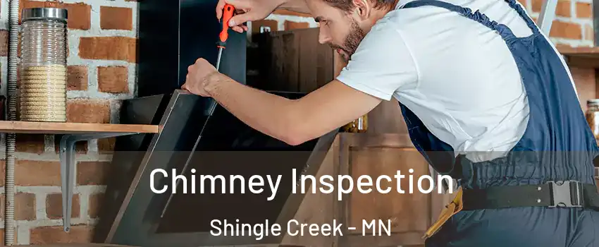 Chimney Inspection Shingle Creek - MN