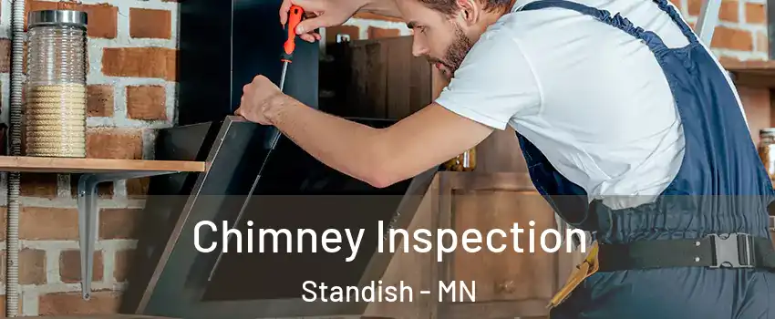 Chimney Inspection Standish - MN