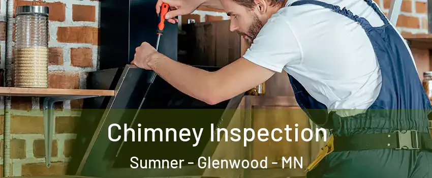 Chimney Inspection Sumner - Glenwood - MN