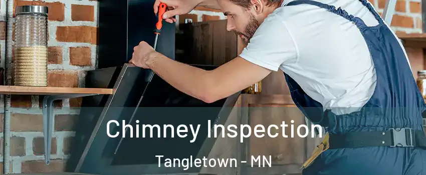 Chimney Inspection Tangletown - MN