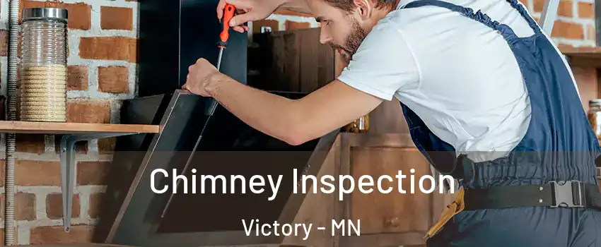 Chimney Inspection Victory - MN