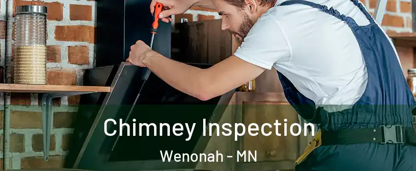 Chimney Inspection Wenonah - MN