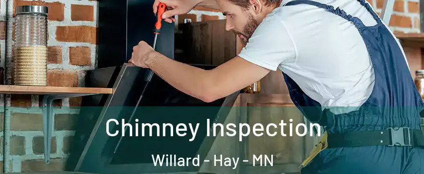 Chimney Inspection Willard - Hay - MN