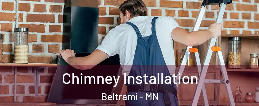 Chimney Installation Beltrami - MN