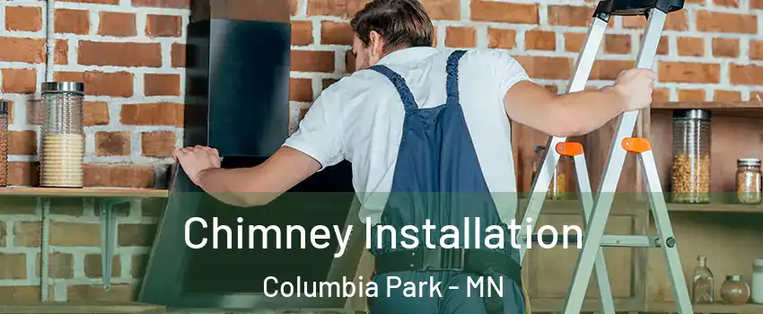 Chimney Installation Columbia Park - MN
