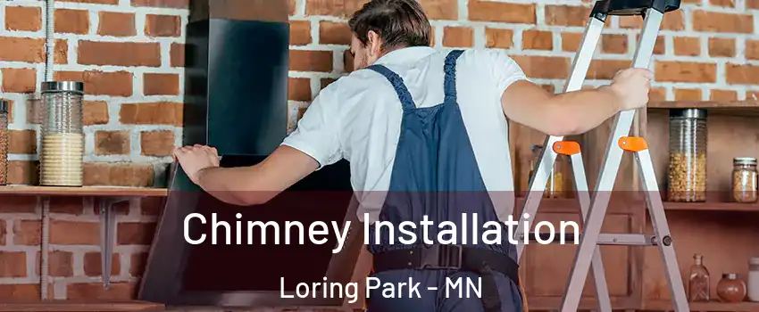 Chimney Installation Loring Park - MN