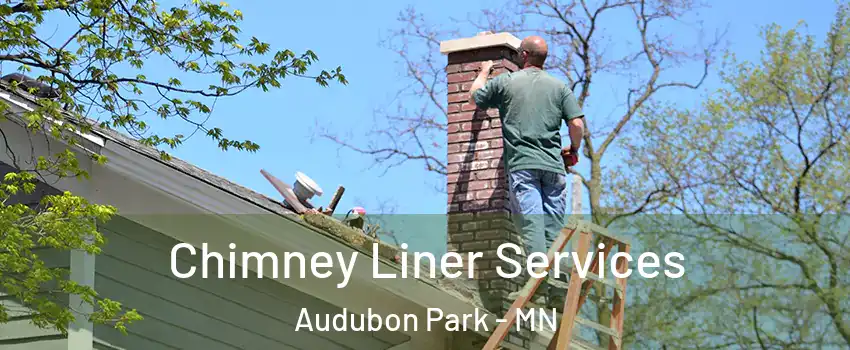 Chimney Liner Services Audubon Park - MN