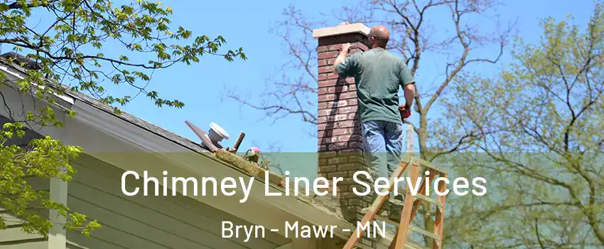 Chimney Liner Services Bryn - Mawr - MN