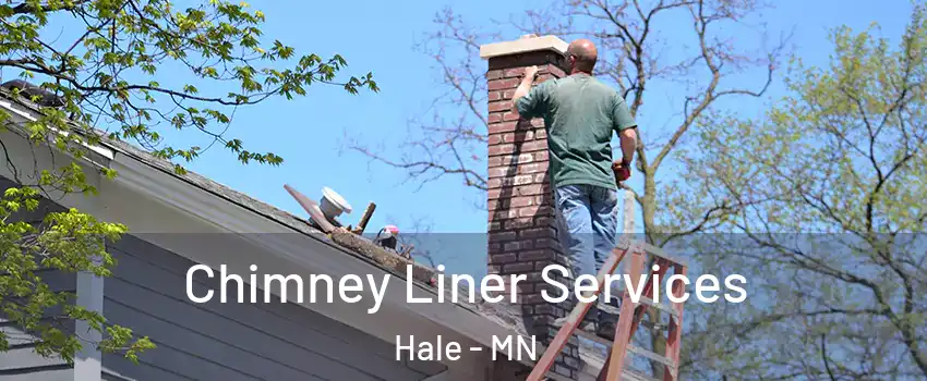 Chimney Liner Services Hale - MN