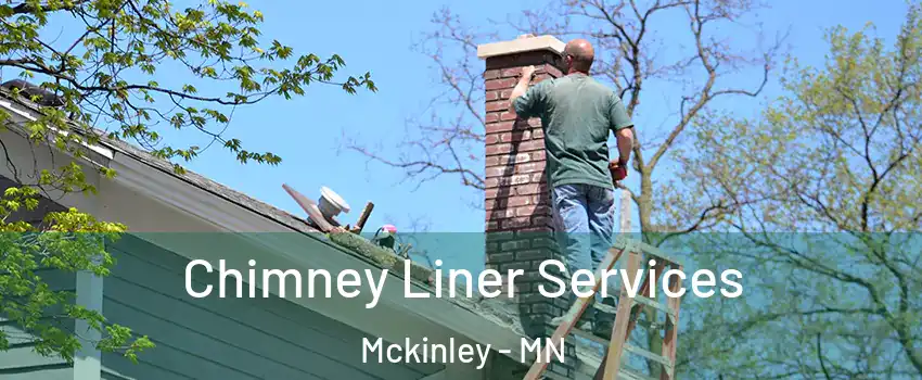 Chimney Liner Services Mckinley - MN