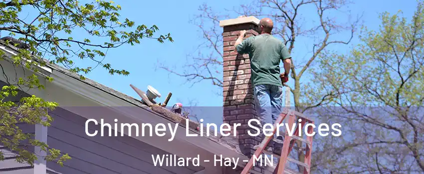 Chimney Liner Services Willard - Hay - MN