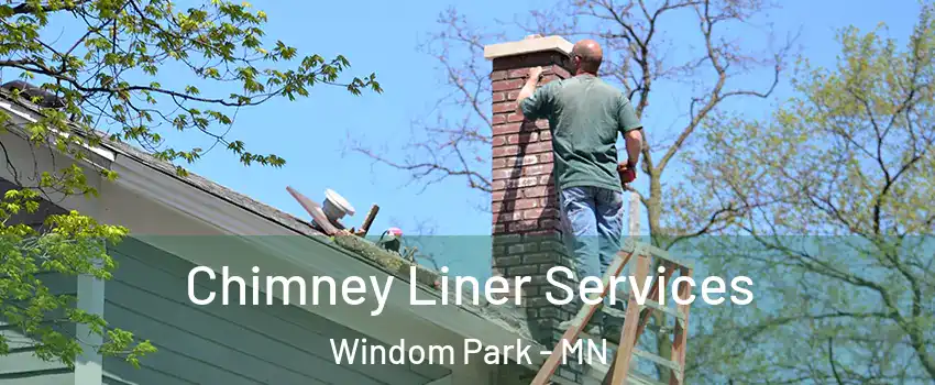 Chimney Liner Services Windom Park - MN