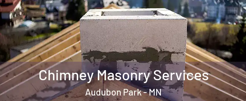 Chimney Masonry Services Audubon Park - MN