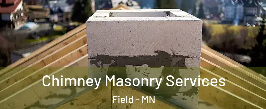 Chimney Masonry Services Field - MN